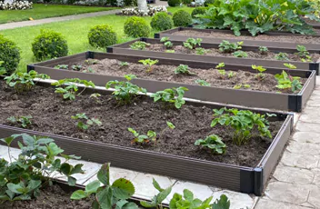 Грядки из ДПК